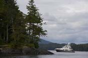 crid_080801_8491
