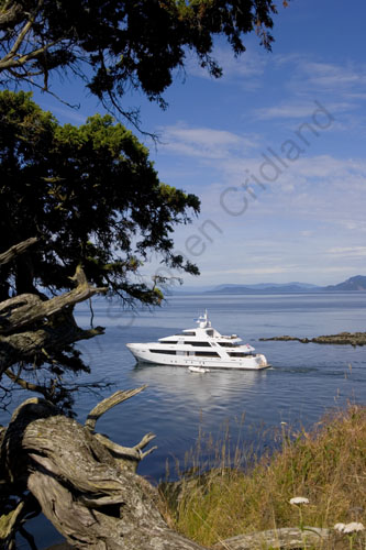 crid_070626_0685