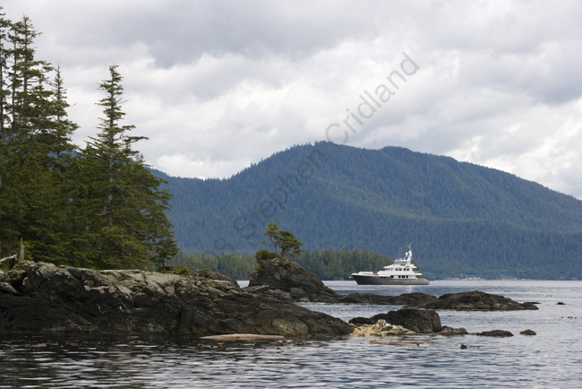 crid_080801_8456
