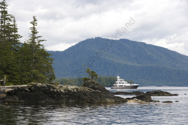 crid_080801_8482