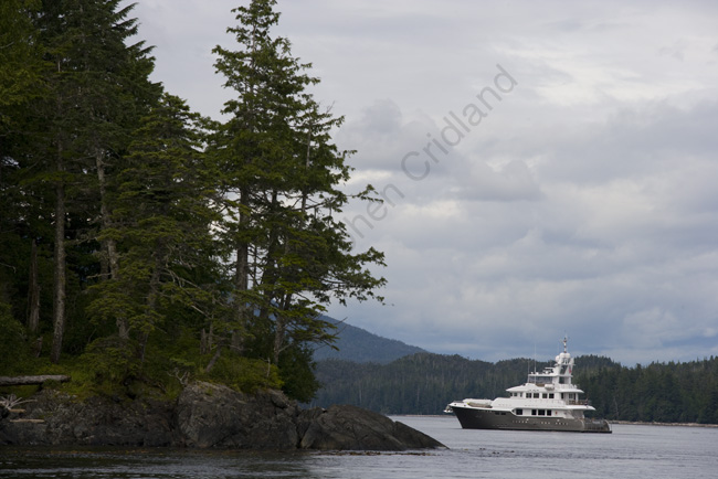 crid_080801_8491