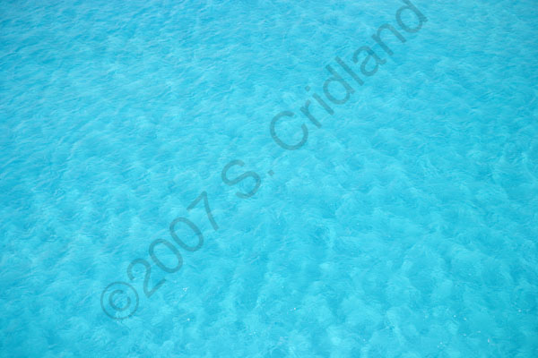 crid_070920_0670