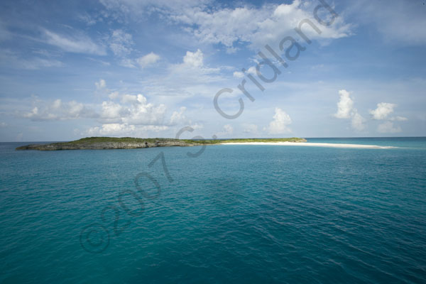 crid_070920_2006