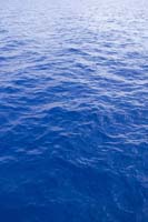 crid_070921_2365